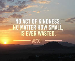 no act of kindness, no matter how small, is ever wasted -Aesop